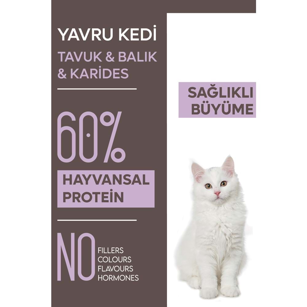 Animal World Tavuk & Balık & Karides Yavru Kedi Maması 15 Kg