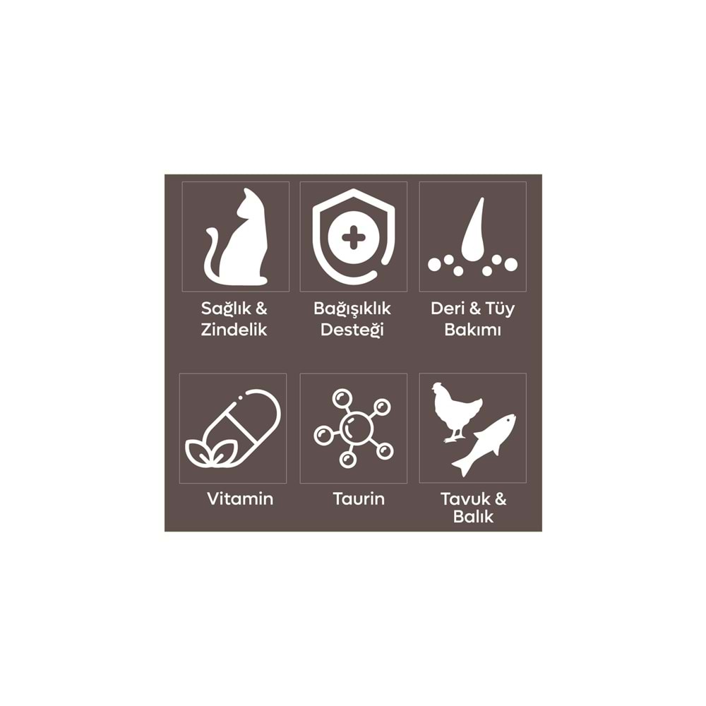 Animal World Tavuk & Balık & Karides Yavru Kedi Maması 15 Kg