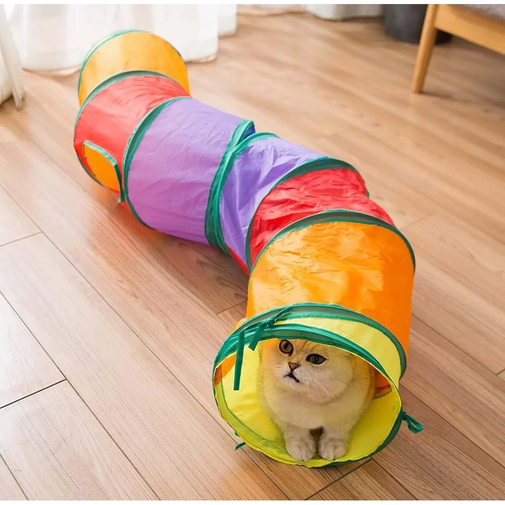 Kıvrımlı Renkli Kedi Tüneli