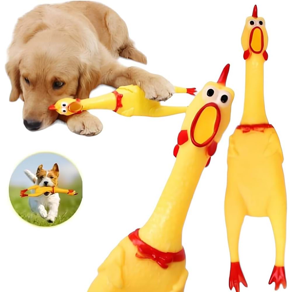 Sesli Horoz M Kedi Köpek Oyuncak