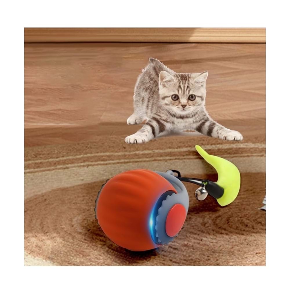 Hareketli Kuyruk Tüylü Top Kedi Oyuncak