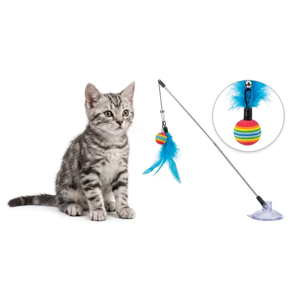 Toplu Vantuzlu kedi Oltası