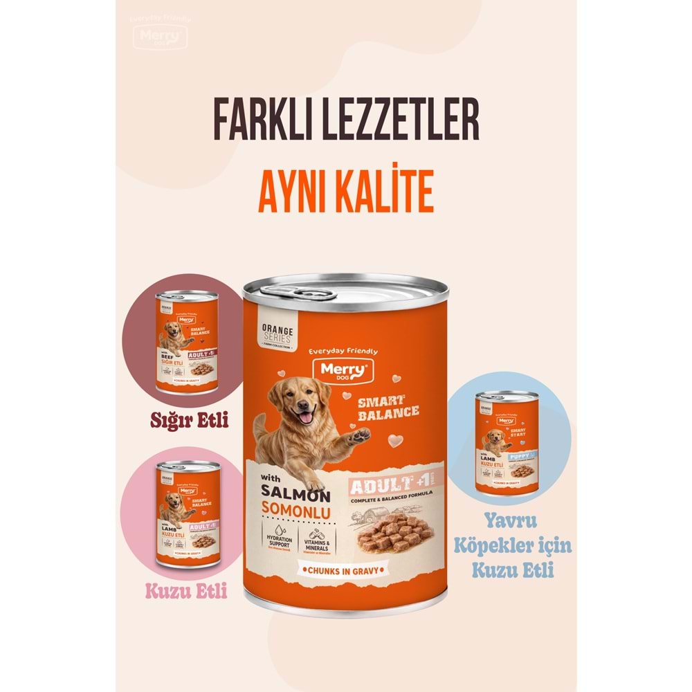 Merry Somonlu Yetişkin Köpek Konserve 400 Gr X 12 Adet