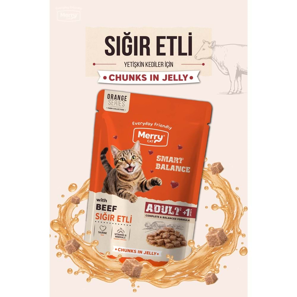 Merry Yetişkin Kediler İçin Jöle İçinde Sığır Etli Pouch Yaş Kedi Maması 85 g ( 24 lü )