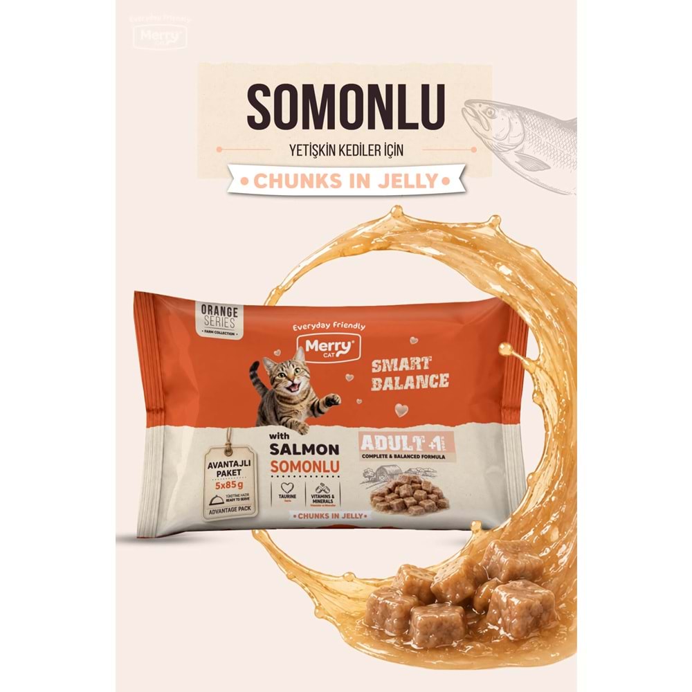 Merry Yetişkin Kediler İçin Jöle İçinde Somonlu Flowpack Pouch 5 x 85 g ( 12 li )