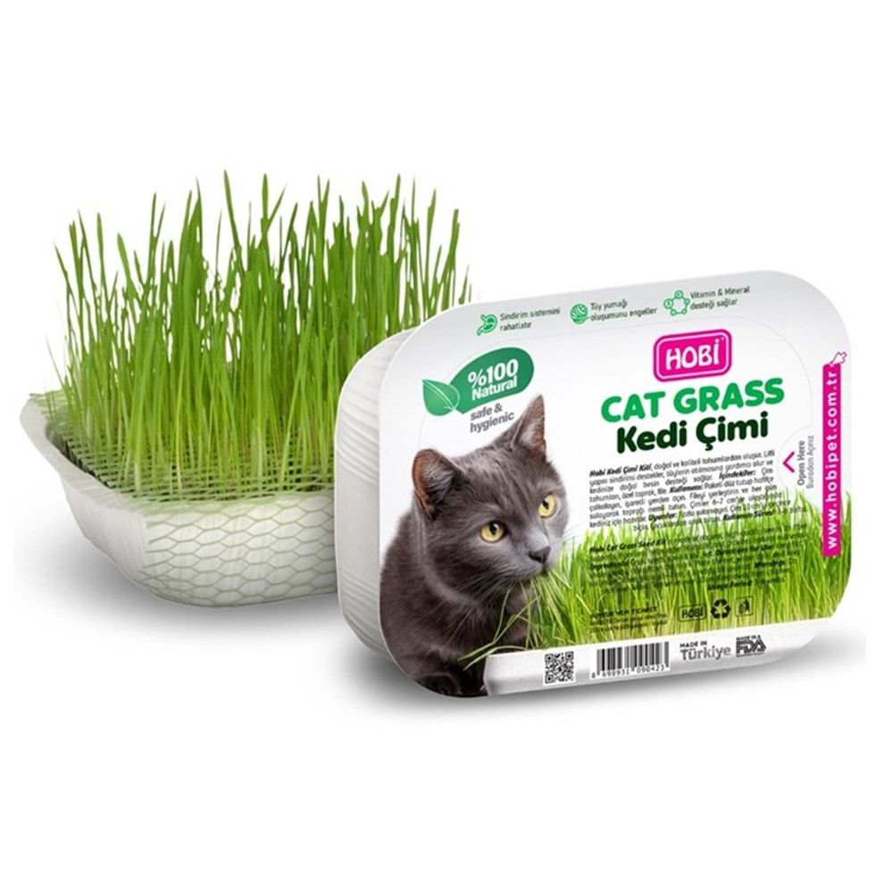 Hobi Fileli Kedi Çimi Cat Grass Ekonomik