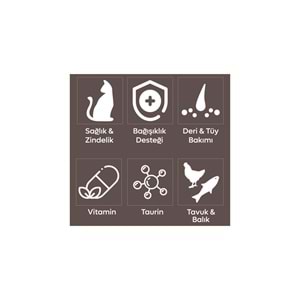 Animal World Tavuk & Balık & Karides Yavru Kedi Maması 15 Kg