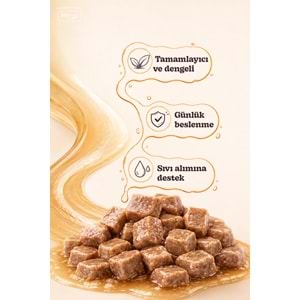 Merry Ton Balıklı Yetişkin Kedi Konserve Yaş Mama Konserve 400 Gr X 12 Adet