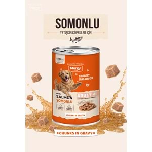 Merry Somonlu Yetişkin Köpek Konserve 400 Gr X 12 Adet