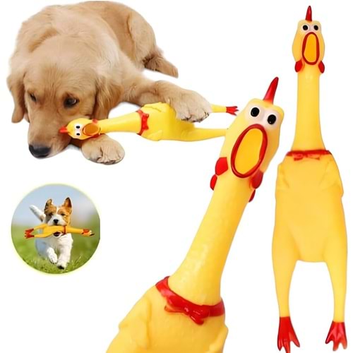 Sesli Horoz L Kedi Köpek Oyuncak