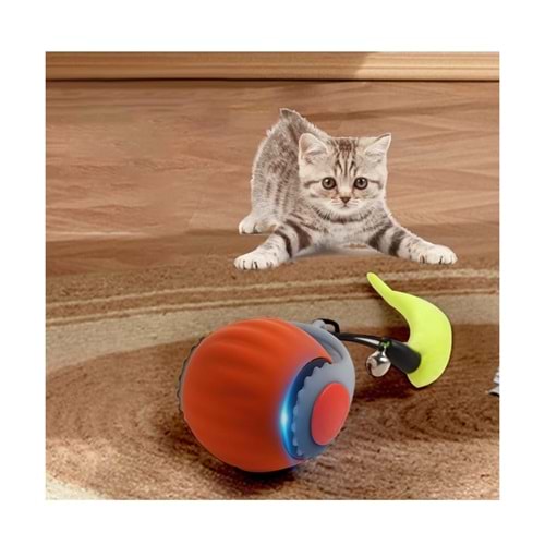 Hareketli Kuyruk Tüylü Top Kedi Oyuncak