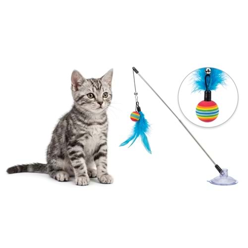 Toplu Vantuzlu kedi Oltası