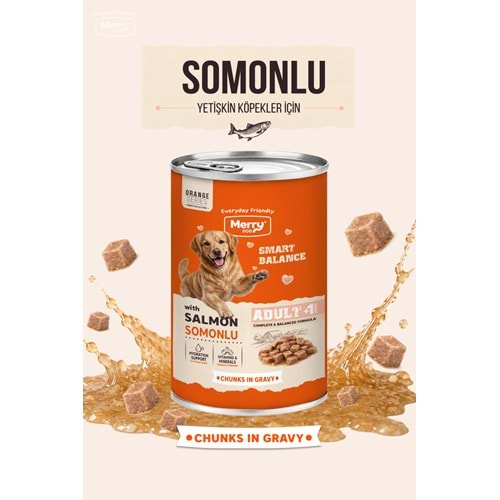 Merry Somonlu Yetişkin Köpek Konserve 400 Gr X 12 Adet