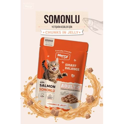 Merry Yetişkin Kediler İçin Jöle İçinde Somonlu Pouch Yaş Kedi Maması 85 g ( 24 lü )