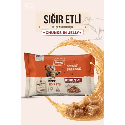 Merry Yetişkin Kediler İçin Jöle İçinde Sığır Etli Flowpack Pouch 5 x 85 g ( 12 li )