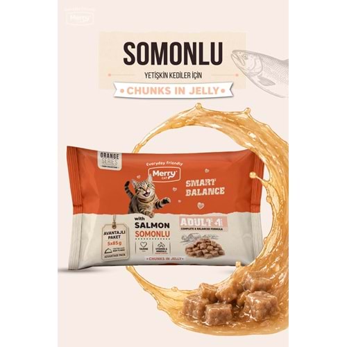 Merry Yetişkin Kediler İçin Jöle İçinde Somonlu Flowpack Pouch 5 x 85 g ( 12 li )