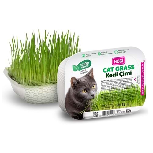 Hobi Fileli Kedi Çimi Cat Grass Ekonomik