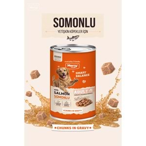 Merry Somonlu Yetişkin Köpek Konserve 400 Gr X 12 Adet