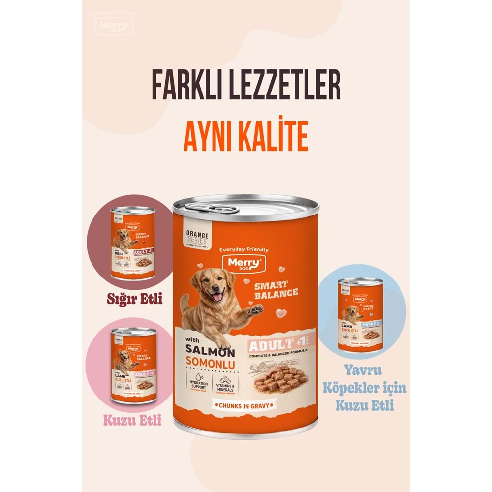 Merry Somonlu Yetişkin Köpek Konserve 400 Gr X 12 Adet